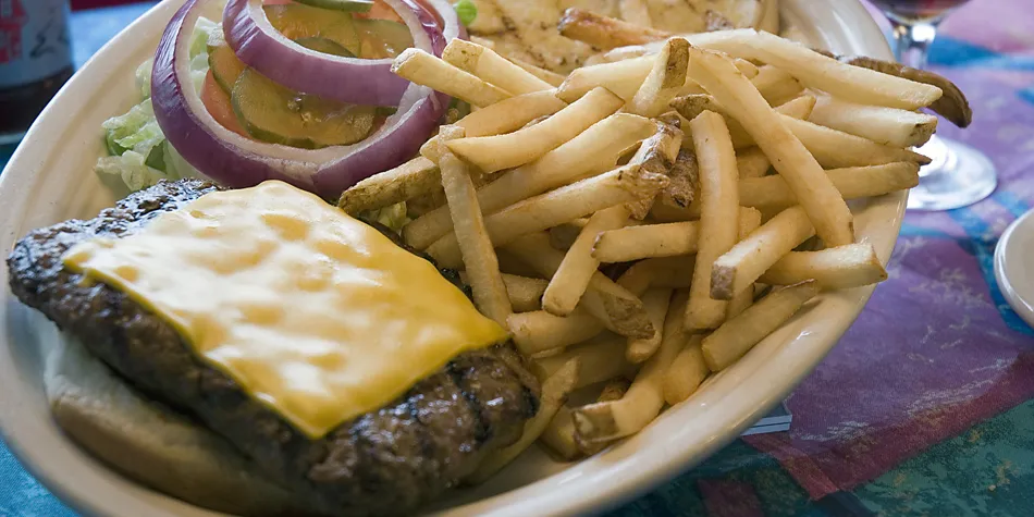 Cheese burger and french fries